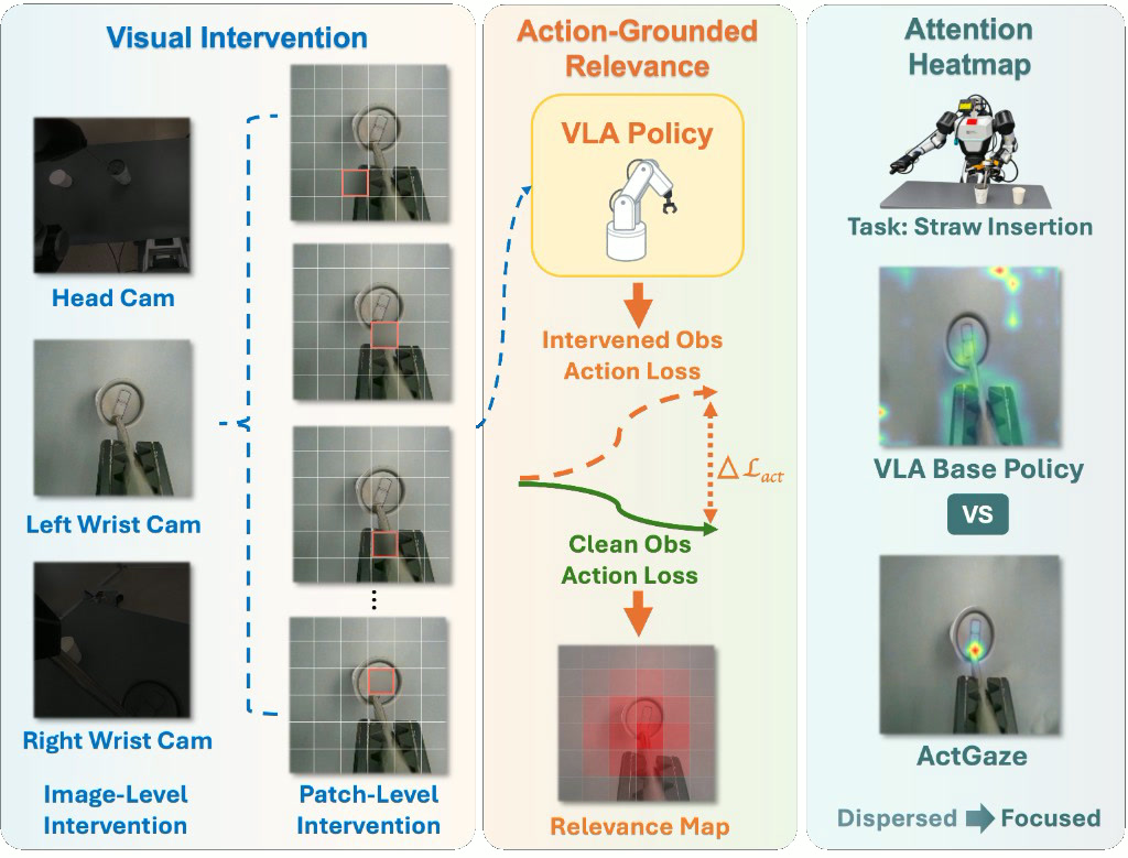 Overview of the ActGaze framework